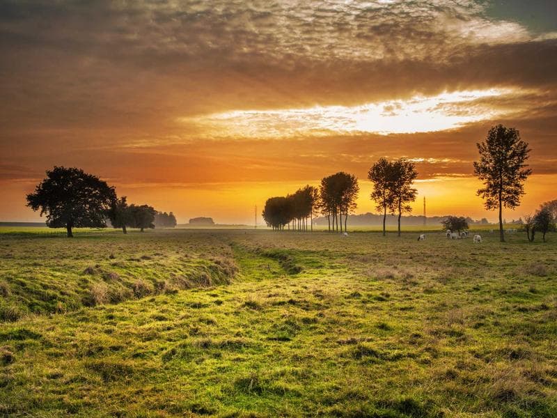 Windsor Rapid thumbnail 2