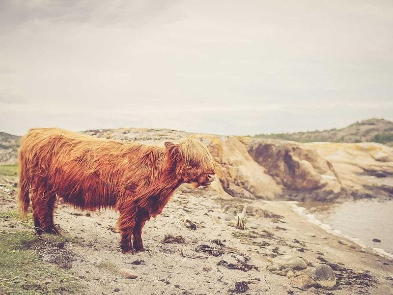 Jayco Journey Outback