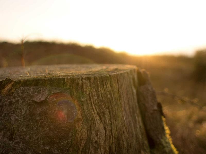 Test Caravan Best Model thumbnail 5