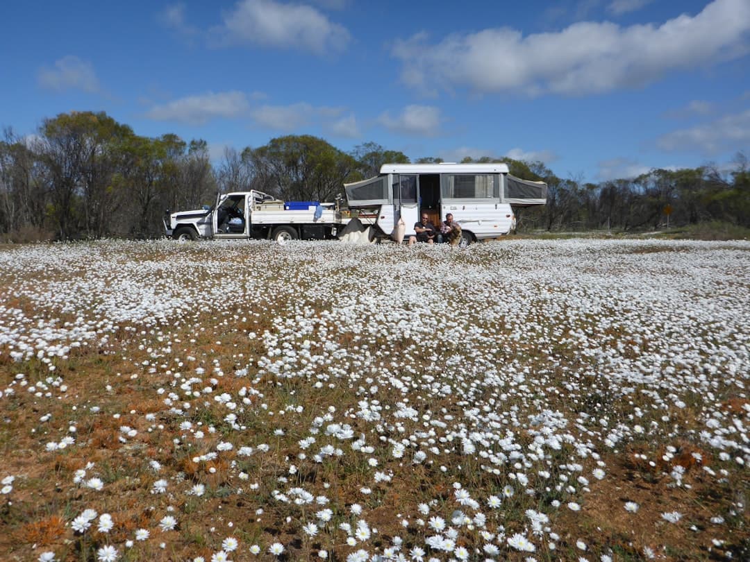 All Electric Caravan Australia: The Future of Touring